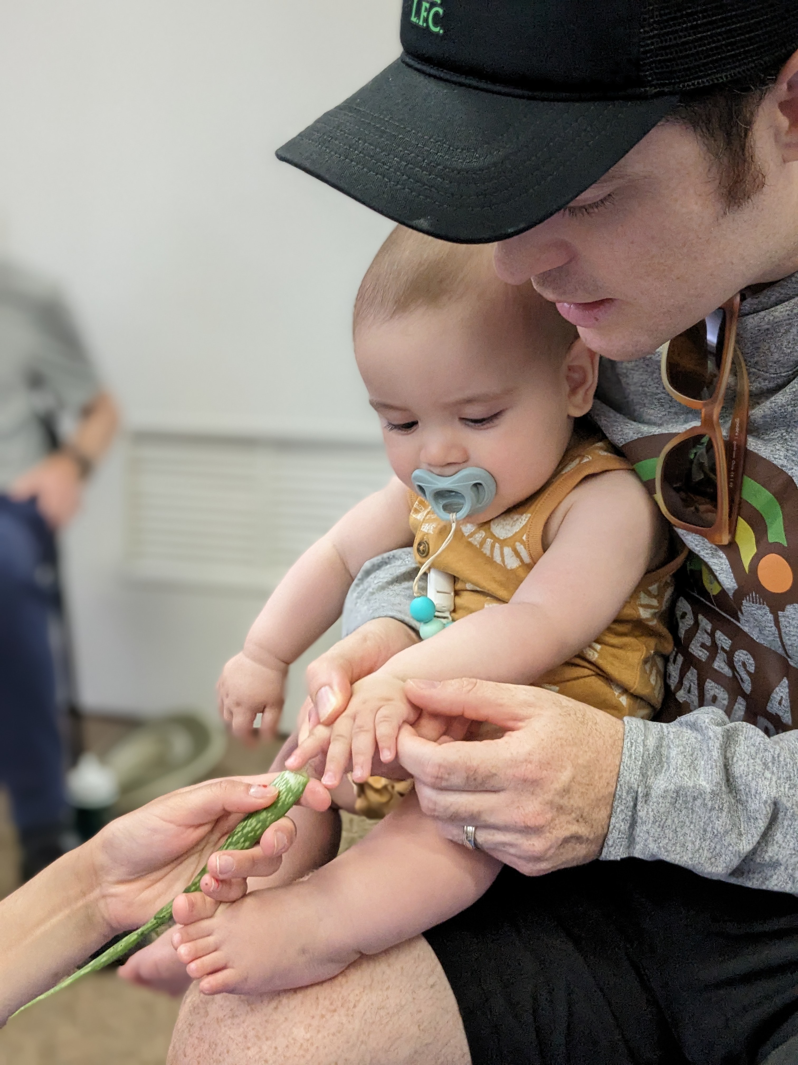 father holding a baby's hand to touch a plant