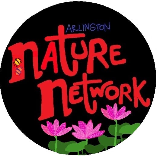 logo text: arlington nature network. graphics: orange and purple beetle, yellow and brown beetle, lotus flowers.