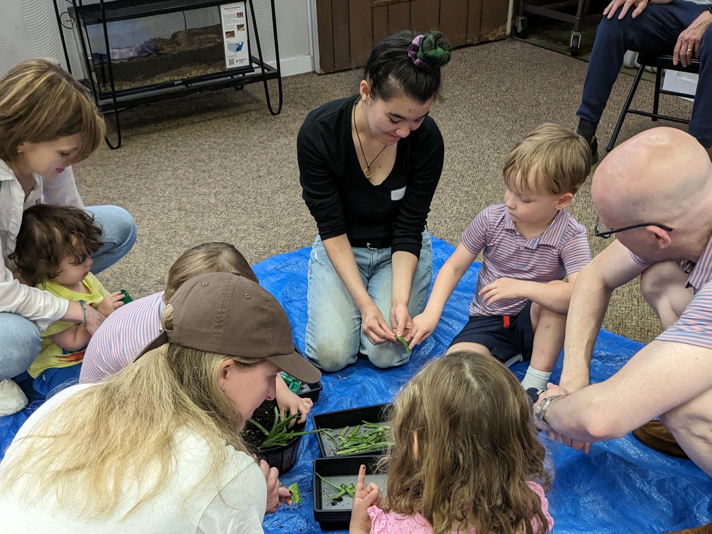 children and adults exploring aloe vera plants